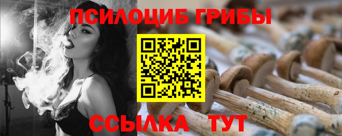 Псилоцибиновые грибы Psilocybe  сколько стоит  Псилоцибиновые грибы Cubensis  Печора  Вход с VPN 